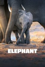 Nonton Film Elephant (2020) Terbaru